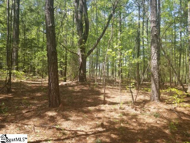 Todd Road Honea Path, SC 29654 - Photo 11 of 12