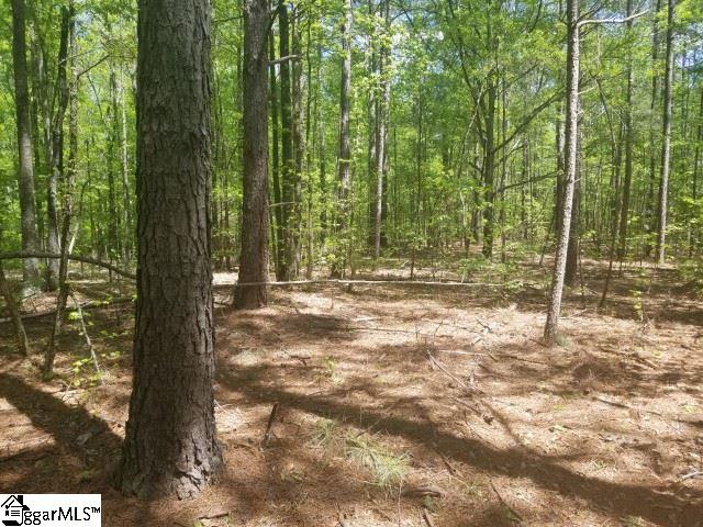 Todd Road Honea Path, SC 29654 - Photo 12 of 12
