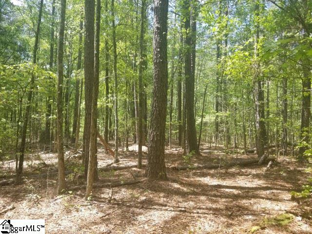 Todd Road Honea Path, SC 29654 - Photo 4 of 12
