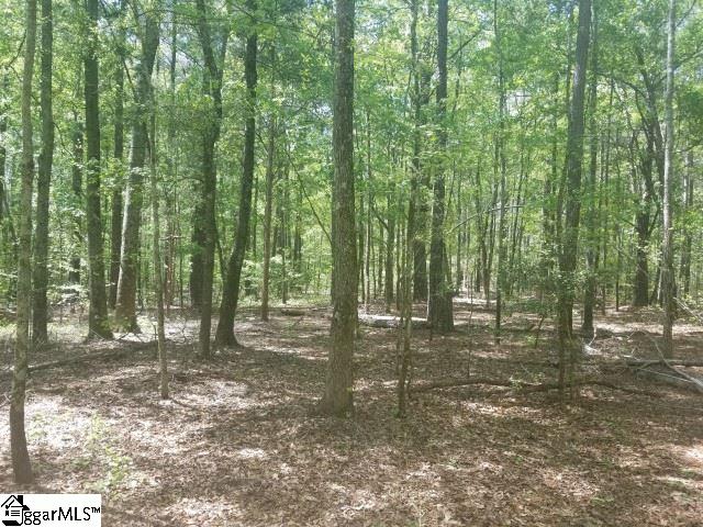 Todd Road Honea Path, SC 29654 - Photo 5 of 12