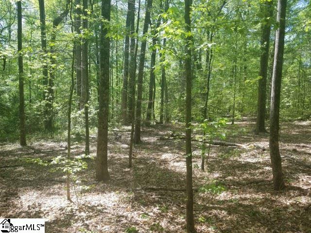 Todd Road Honea Path, SC 29654 - Photo 6 of 12