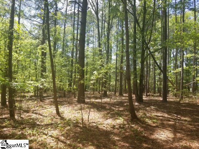 Todd Road Honea Path, SC 29654 - Photo 10 of 12