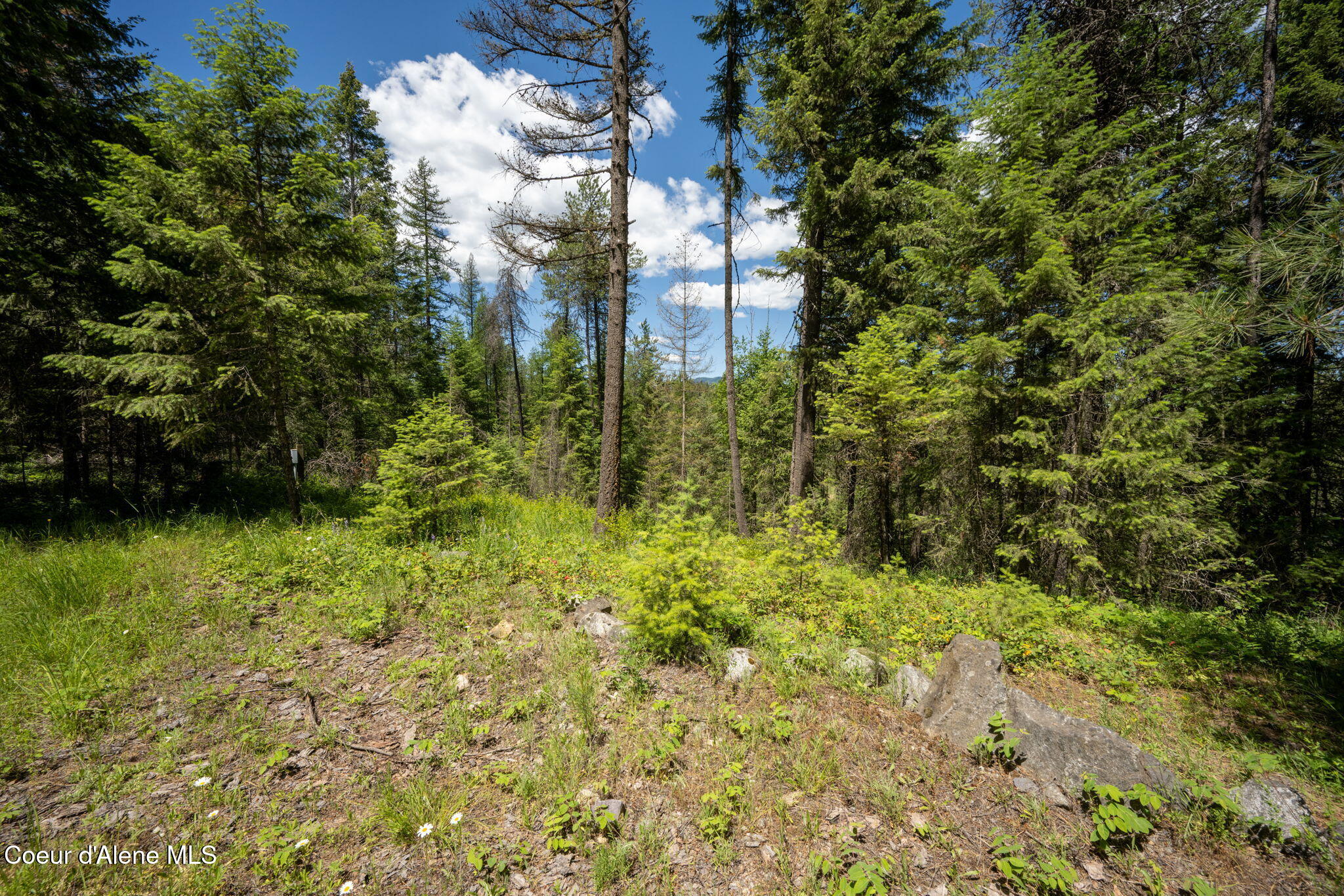965 Trails End Road Athol, ID 83801 - Photo 19 of 26 Filtered Meadow Views