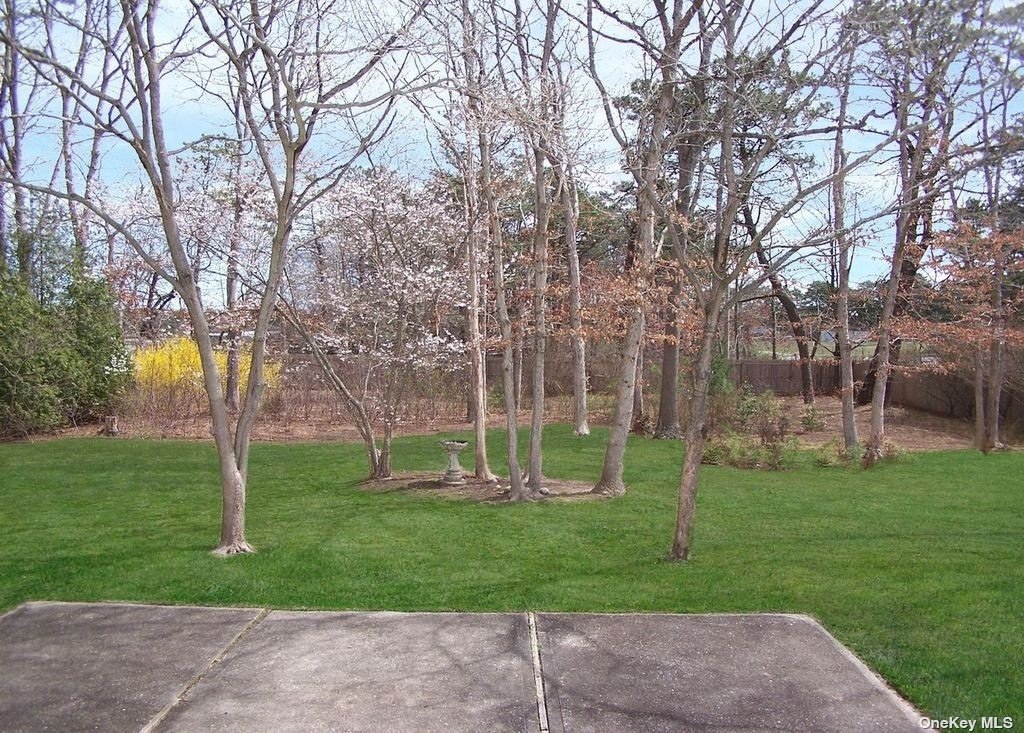a garden with trees in the background