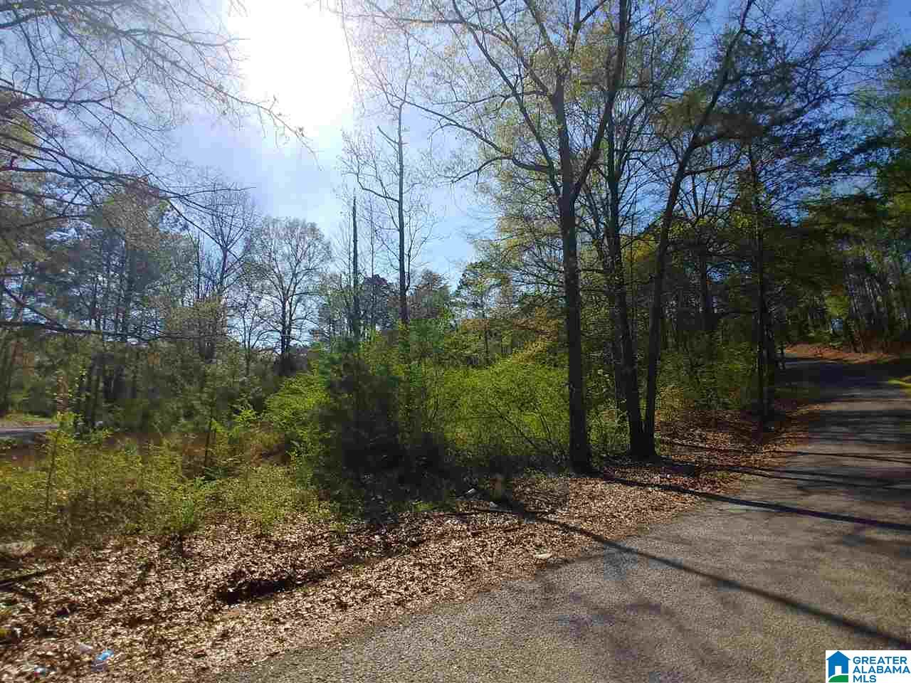 0 Roberts Mill Pond Road, Unit 1 39 Pell City, AL 35128 - Photo 24 of 29