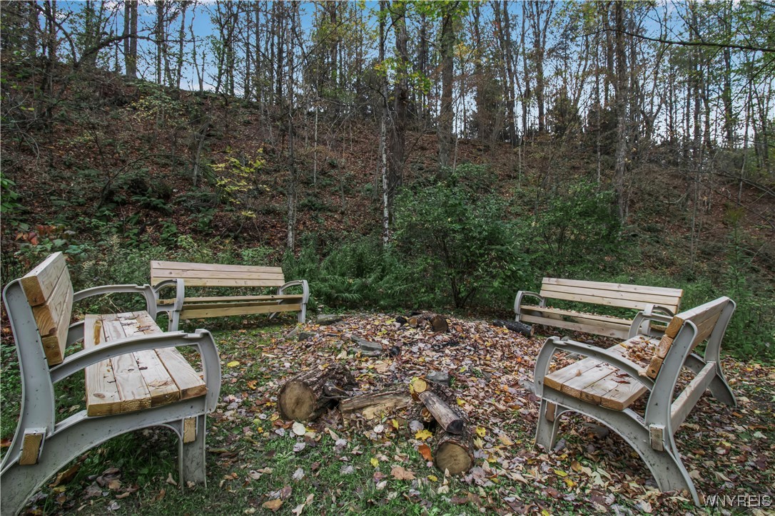 5393 Bryant Hill Road Ellicottville, NY 14731 - Photo 6 of 49