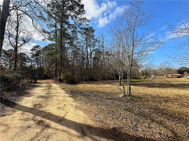 37 H Strange Road Lecompte, LA 71346 - Photo 3 of 5