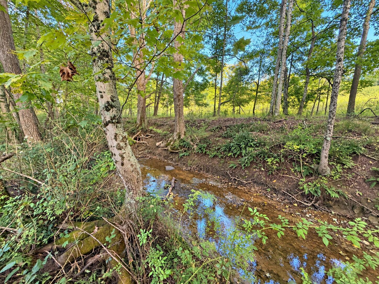 0 Colgin Road, Unit 800794 000 Howard, OH 43028 - Photo 2 of 5 6 creek
