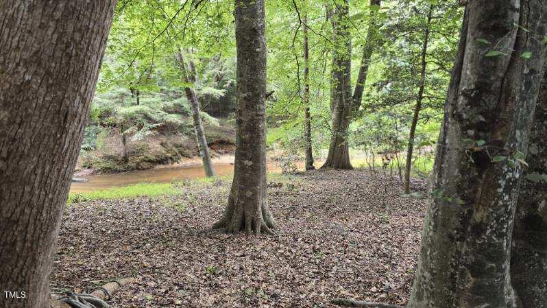 61 Fork Junction Road Timberlake, NC 27583 - Photo 50 of 59 a view of a trees in a yard