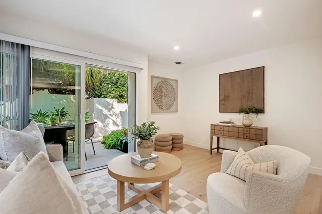 a living room with furniture and a potted plant