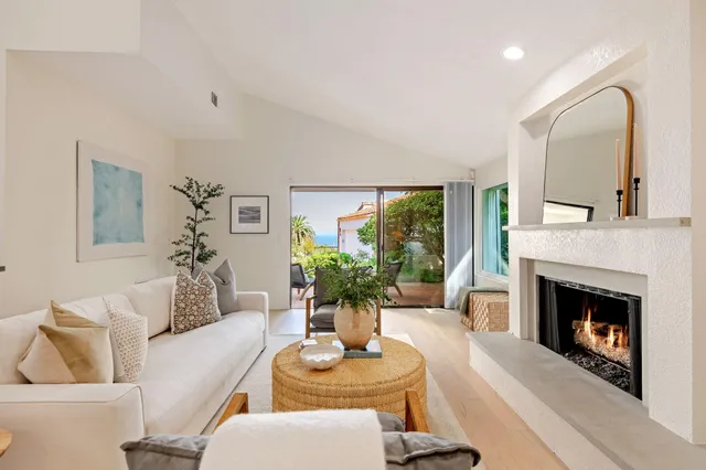 a living room with furniture a fireplace and a potted plant