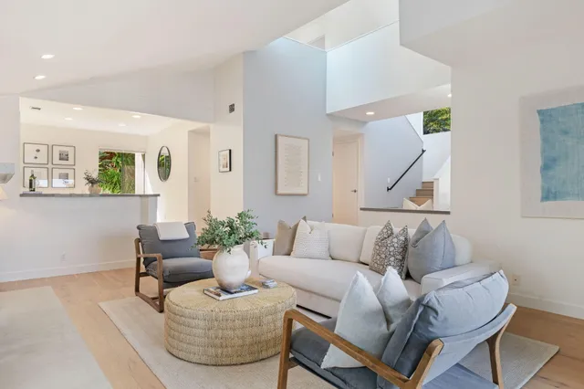 a living room with furniture and a potted plant
