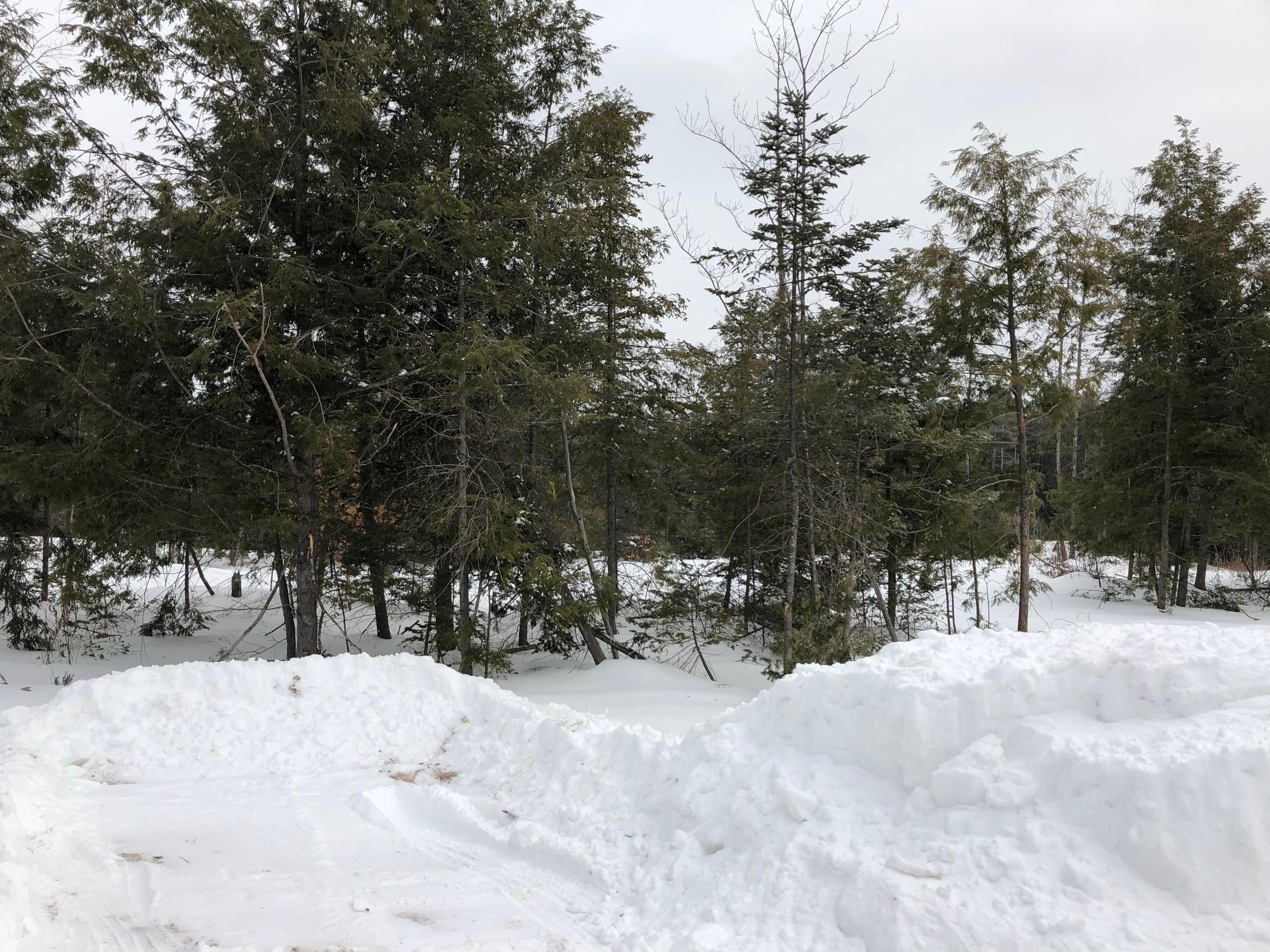 266 Dingley Spring Road Gorham, ME 04038 - Photo 24 of 26 IMG_3623