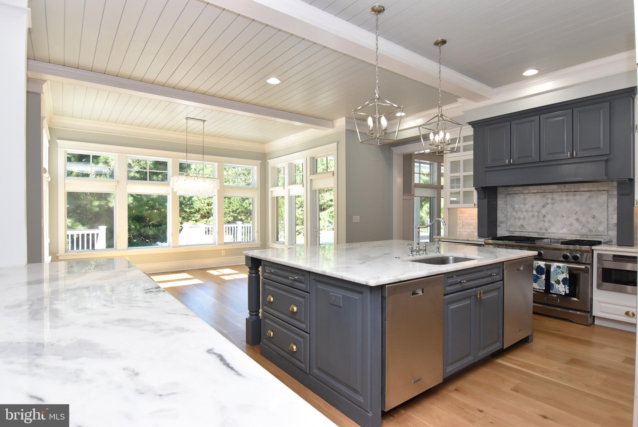 35566 Peregrine Road Lewes, DE 19958 - Photo 22 of 78 Gourmet Kitchen view with Backyard