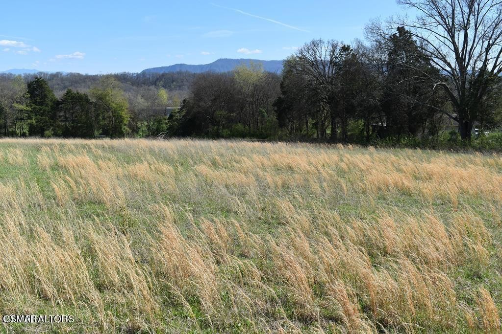 17 Temple Road Seymour, TN 37865 - Photo 1 of 1 Gallery Image 1