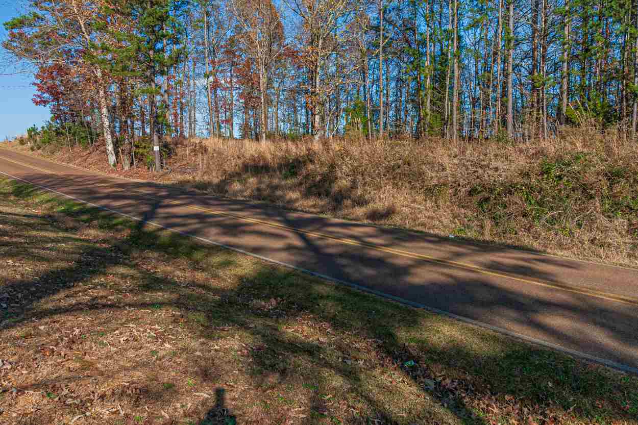 553 Tom Baker Road Guys, TN 38339 - Photo 22 of 23