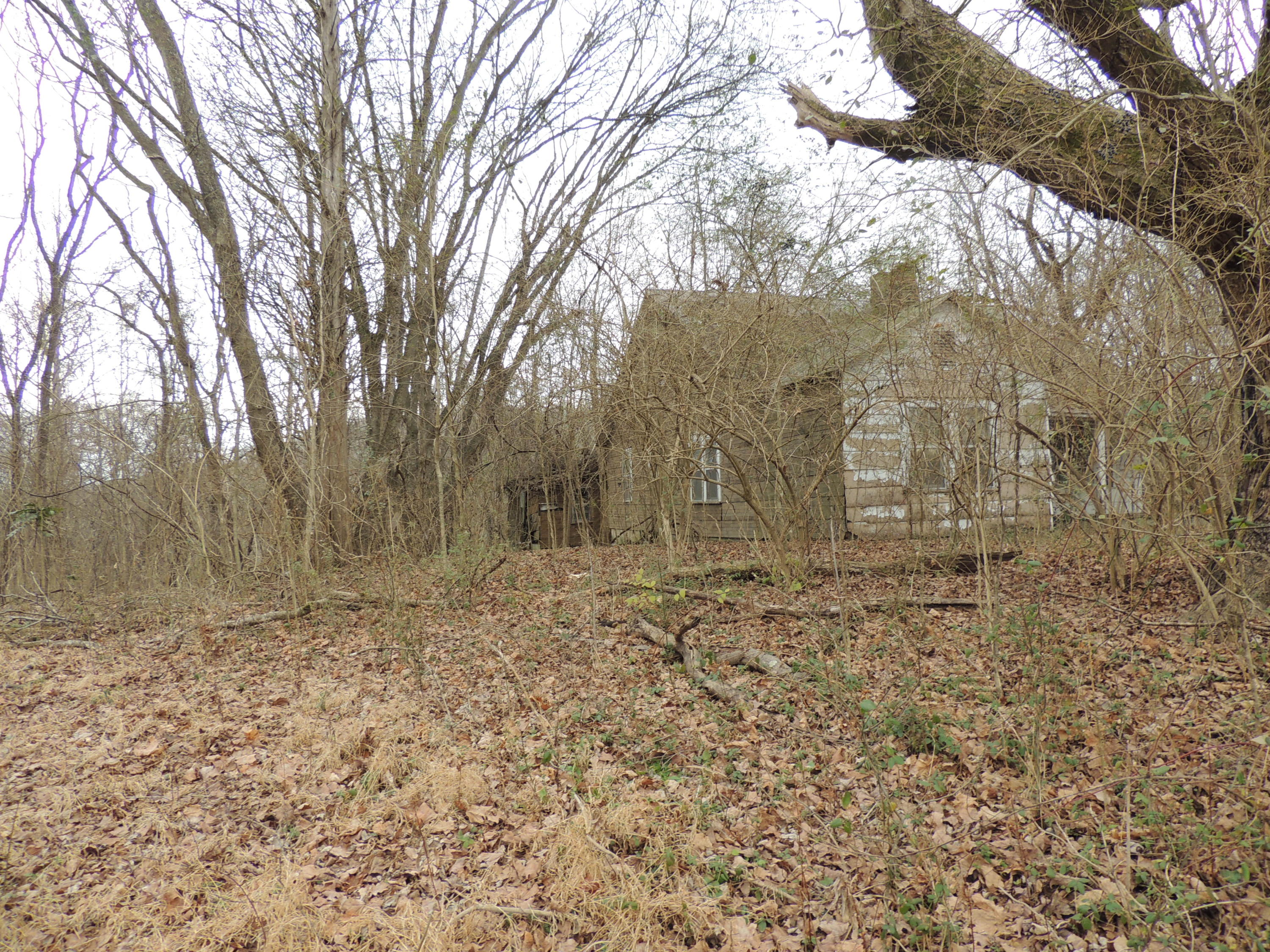 412 Lewallen Road Clinton, TN 37716 - Photo 3 of 7 DSCN6707