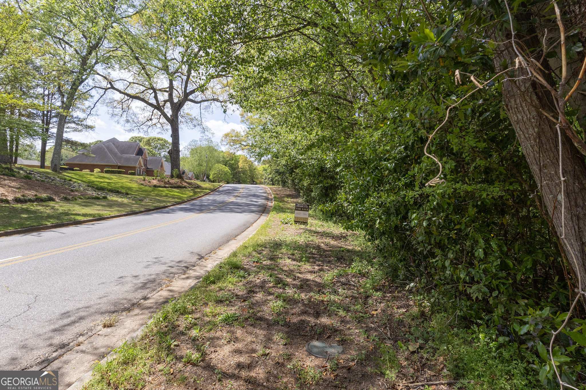 713 Pheasant Ridge Drive Warner Robins, GA 31088 - Photo 4 of 6 a view of a yard with plants and trees