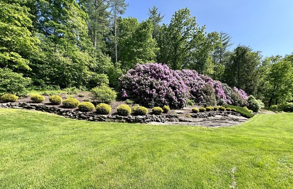 22 Franklin Road Gill, MA 01354 - Photo 3 of 28 a view of a park that has large trees