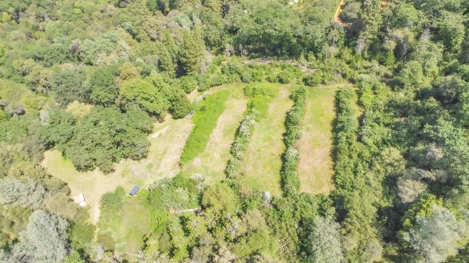 a bathroom with a trees