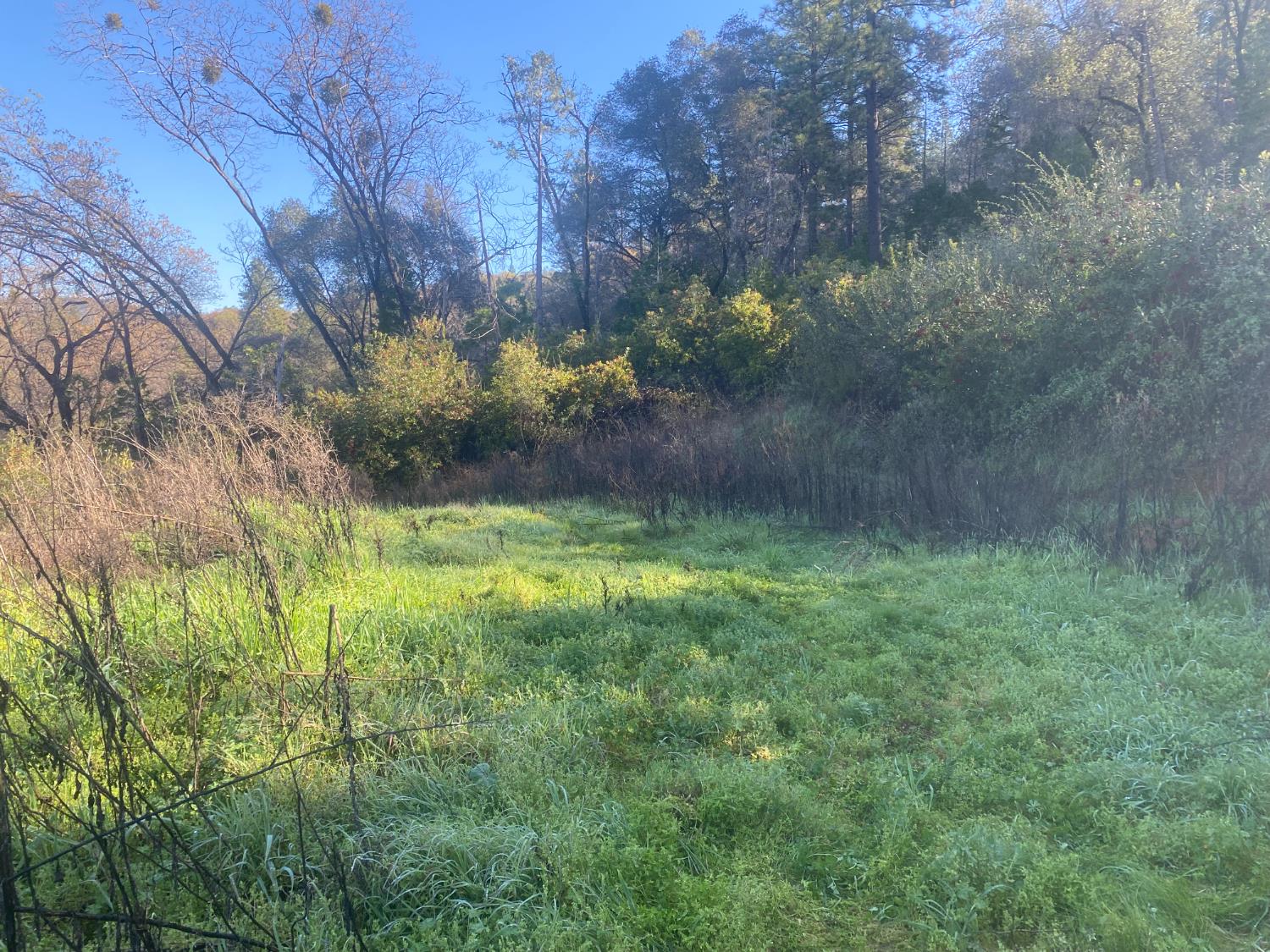 16194 Vierra Road Rackerby, CA 95972 - Photo 12 of 19 a view of outdoor space and yard