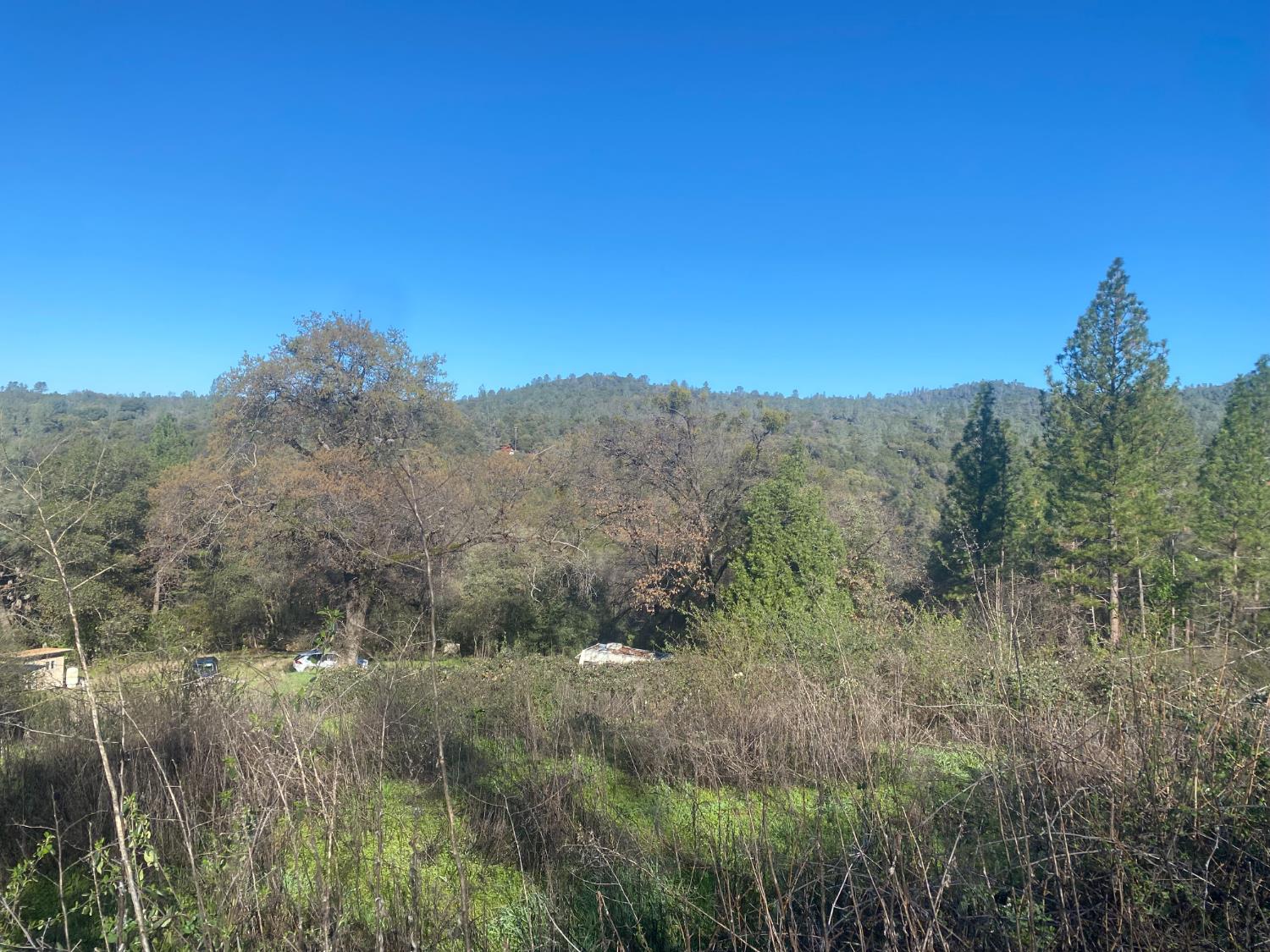 16194 Vierra Road Rackerby, CA 95972 - Photo 13 of 19 a view of a lake in middle of forest