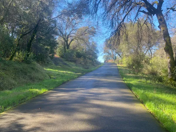 a view of street with a yard