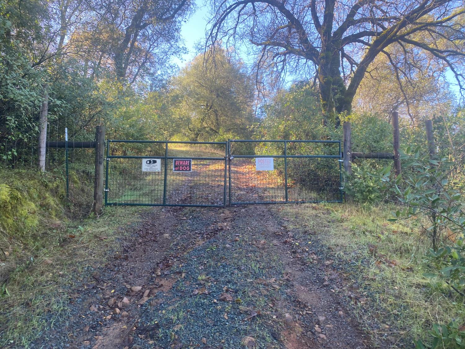 16194 Vierra Road Rackerby, CA 95972 - Photo 6 of 19 a view of backyard with green space