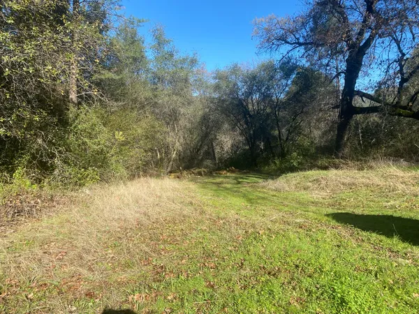 a view of backyard of a house