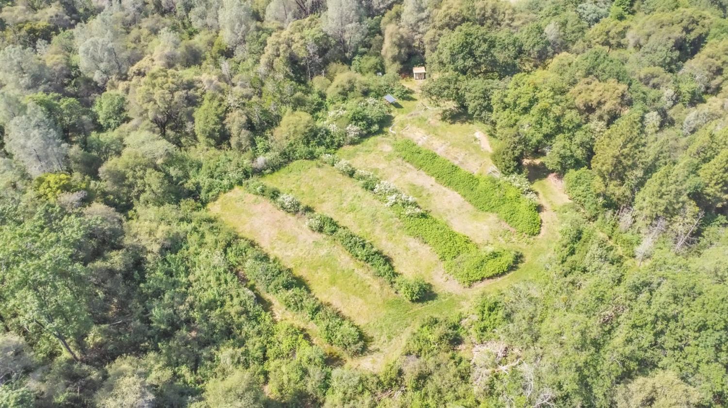 16194 Vierra Road Rackerby, CA 95972 - Photo 8 of 19 a view of a yard