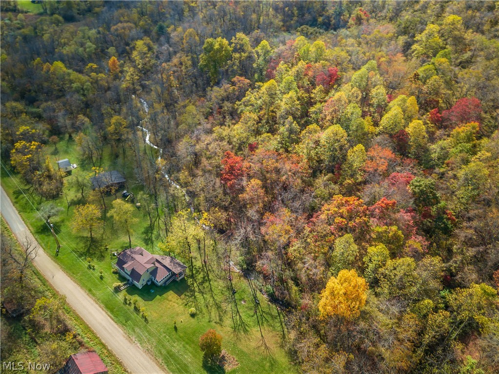 59501 Nevada Road Quaker City, OH 43773 - Photo 46 of 50