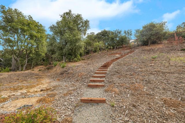 a view of a dry yard with trees