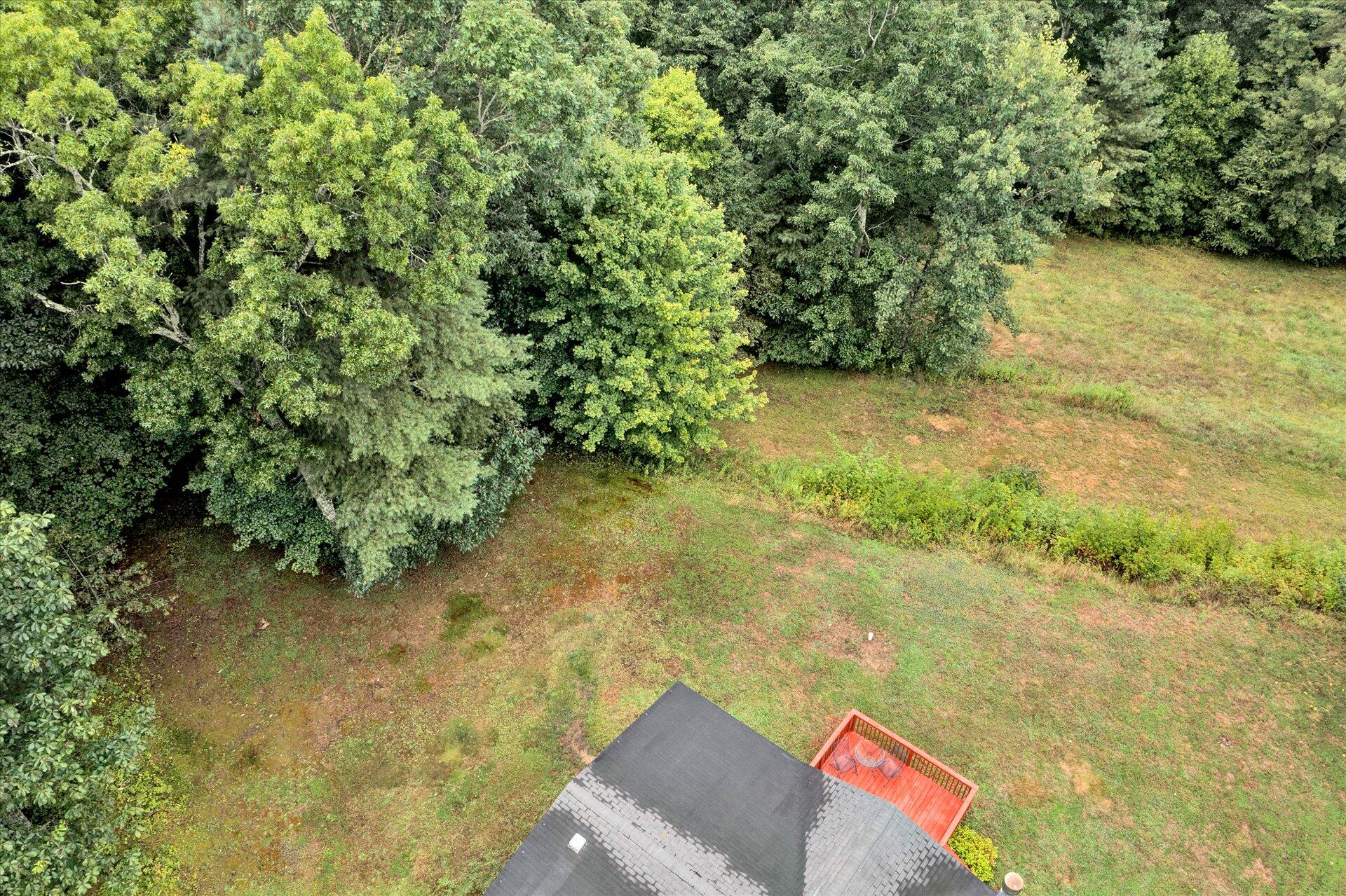 4120 Sunflower Road Pilot, VA 24138 - Photo 29 of 35 a view of a yard with plants