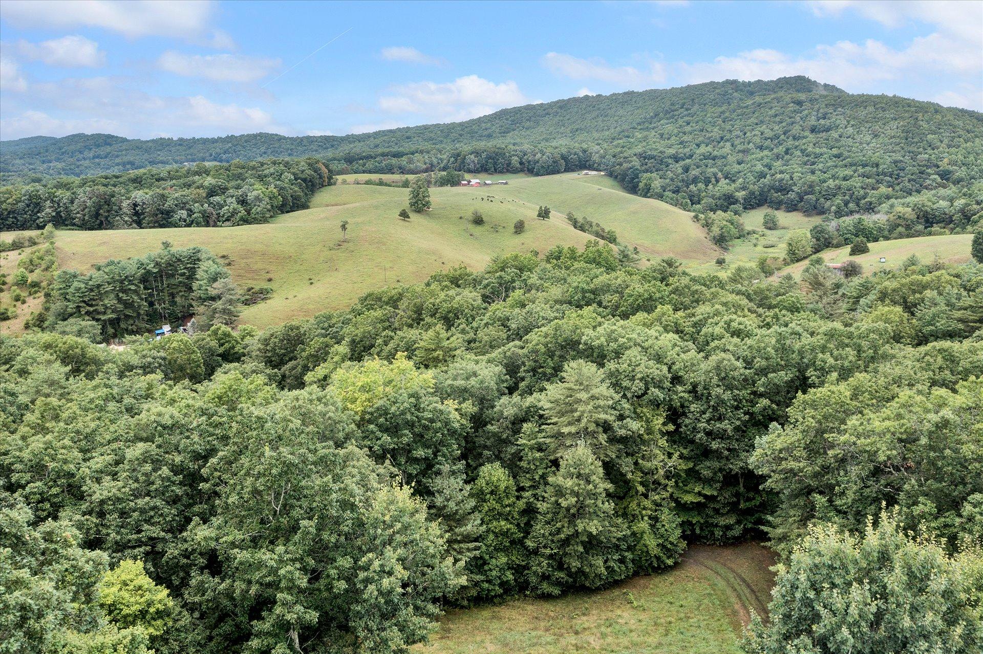 4120 Sunflower Road Pilot, VA 24138 - Photo 5 of 35 an aerial view of a houses with a lush green hillside