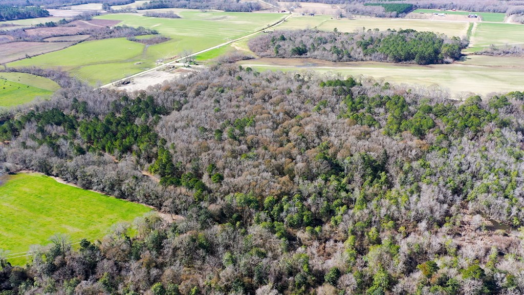 46-acres Post Oak Road Slocomb, AL 36375 - Photo 23 of 24
