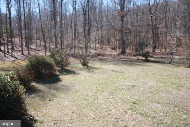4486 Razor Hill Road Bealeton, VA 22712 - Photo 8 of 10 Wooded View / Acreage 2