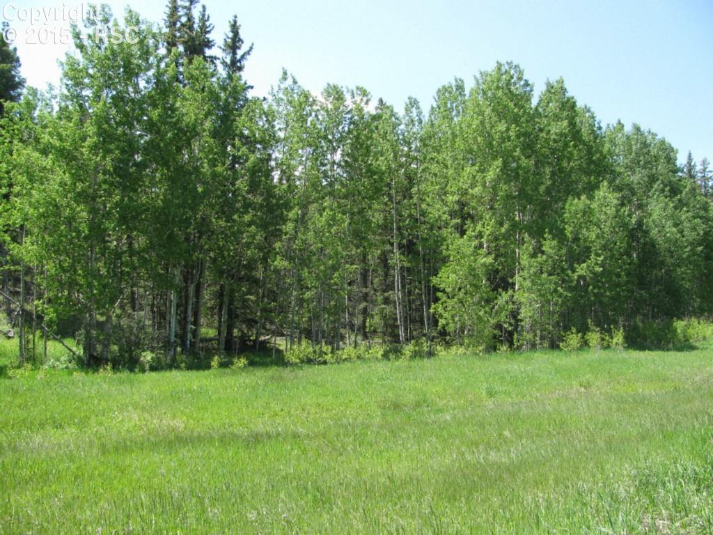 320 Valley Road Florissant, CO 80816 - Photo 1 of 16