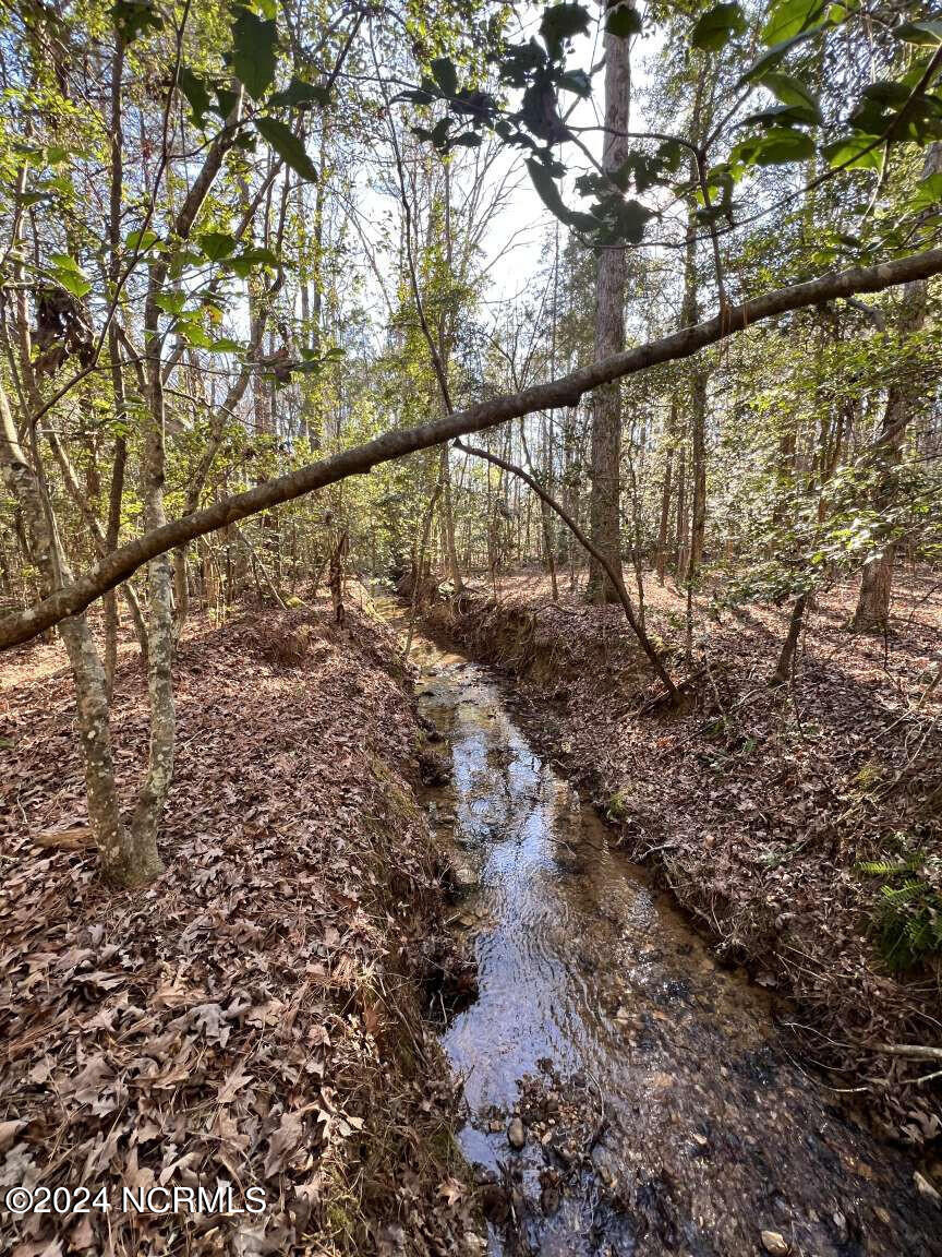 0 Highway 220 Road North Ellerbe, NC 28338 - Photo 3 of 10 Foushee.3