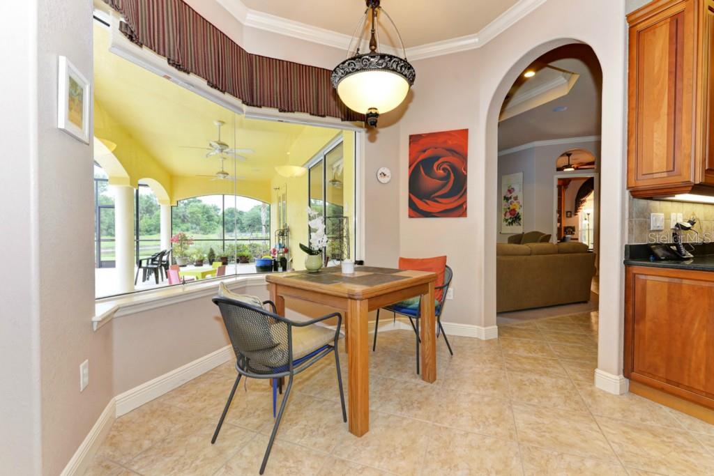 3302 Twin Rivers Trail Parrish, FL 34219 - Photo 11 of 24 Eat-in kitchen with aquarium glass over looking pool and preserve.