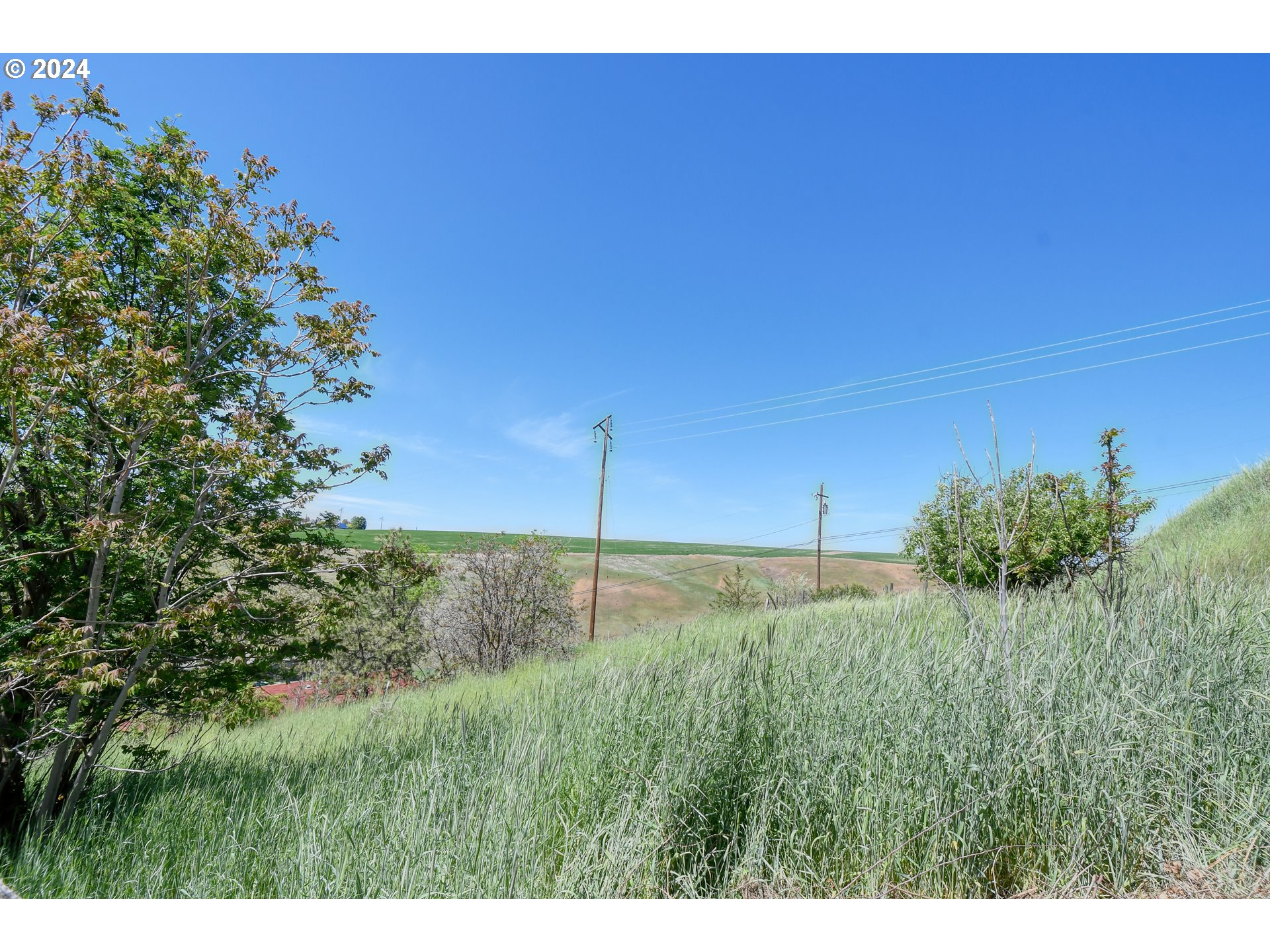 405 Northwest Johns Lane Pendleton, OR 97801 - Photo 43 of 48 a view of a backyard