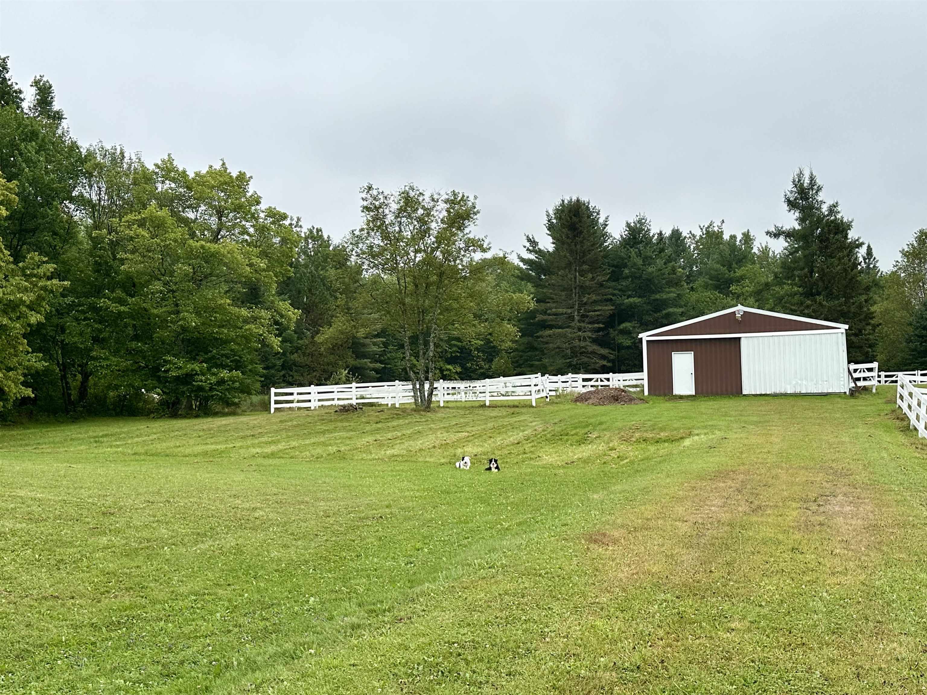 545 North County Road Skandia, MI 49885 - Photo 45 of 80