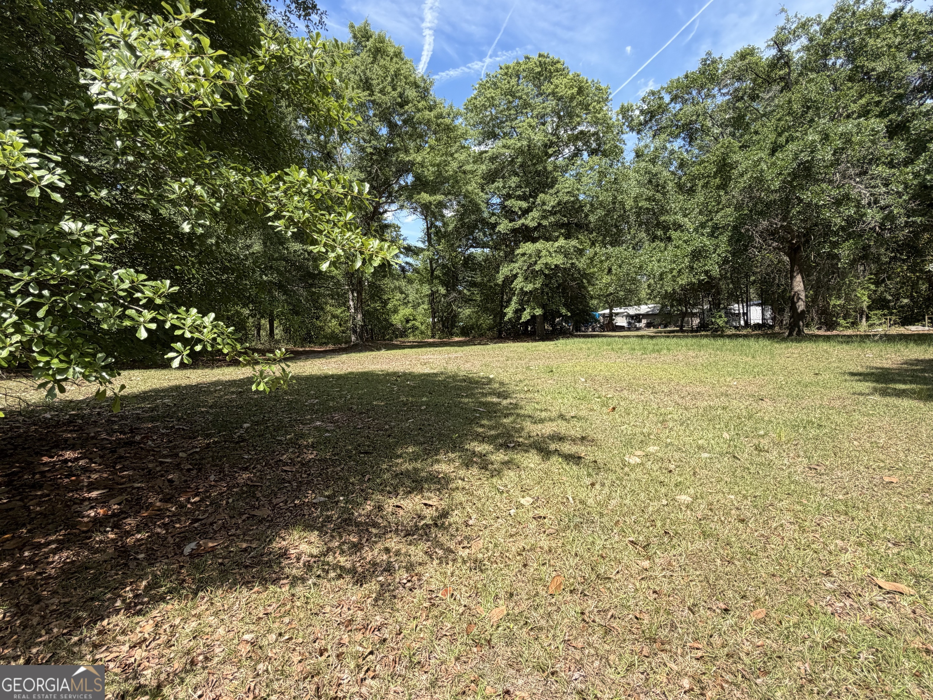 2 Buckboard Trail Jesup, GA 31546 - Photo 32 of 39 a view of a field with an trees