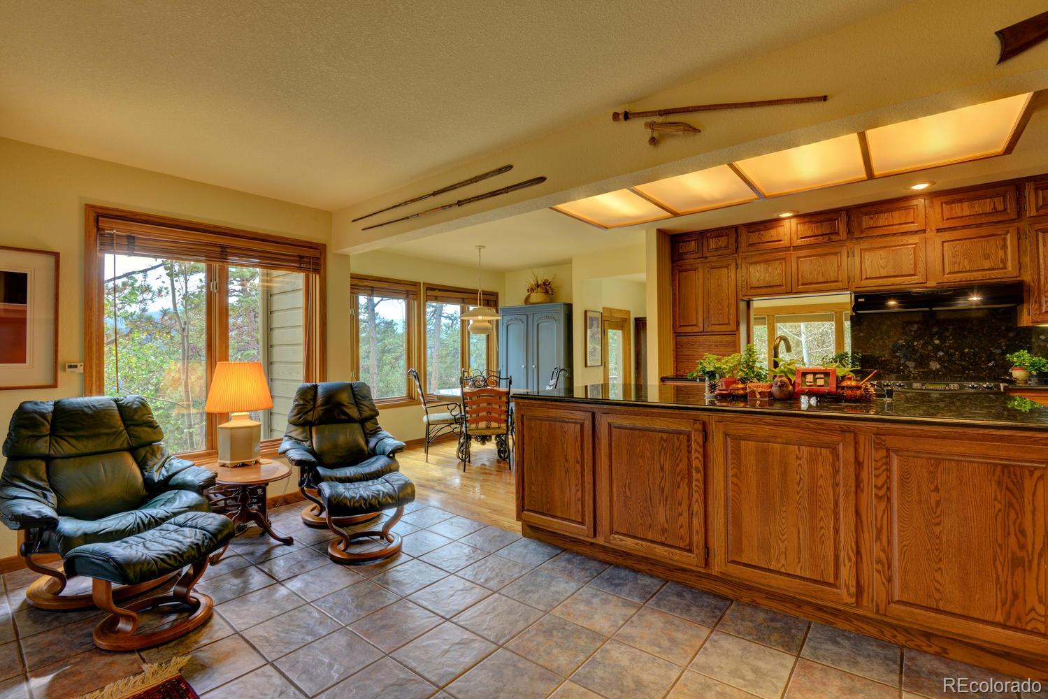 30012 Troutdale Ridge Road Evergreen, CO 80439 - Photo 20 of 35 Gallery Image 20