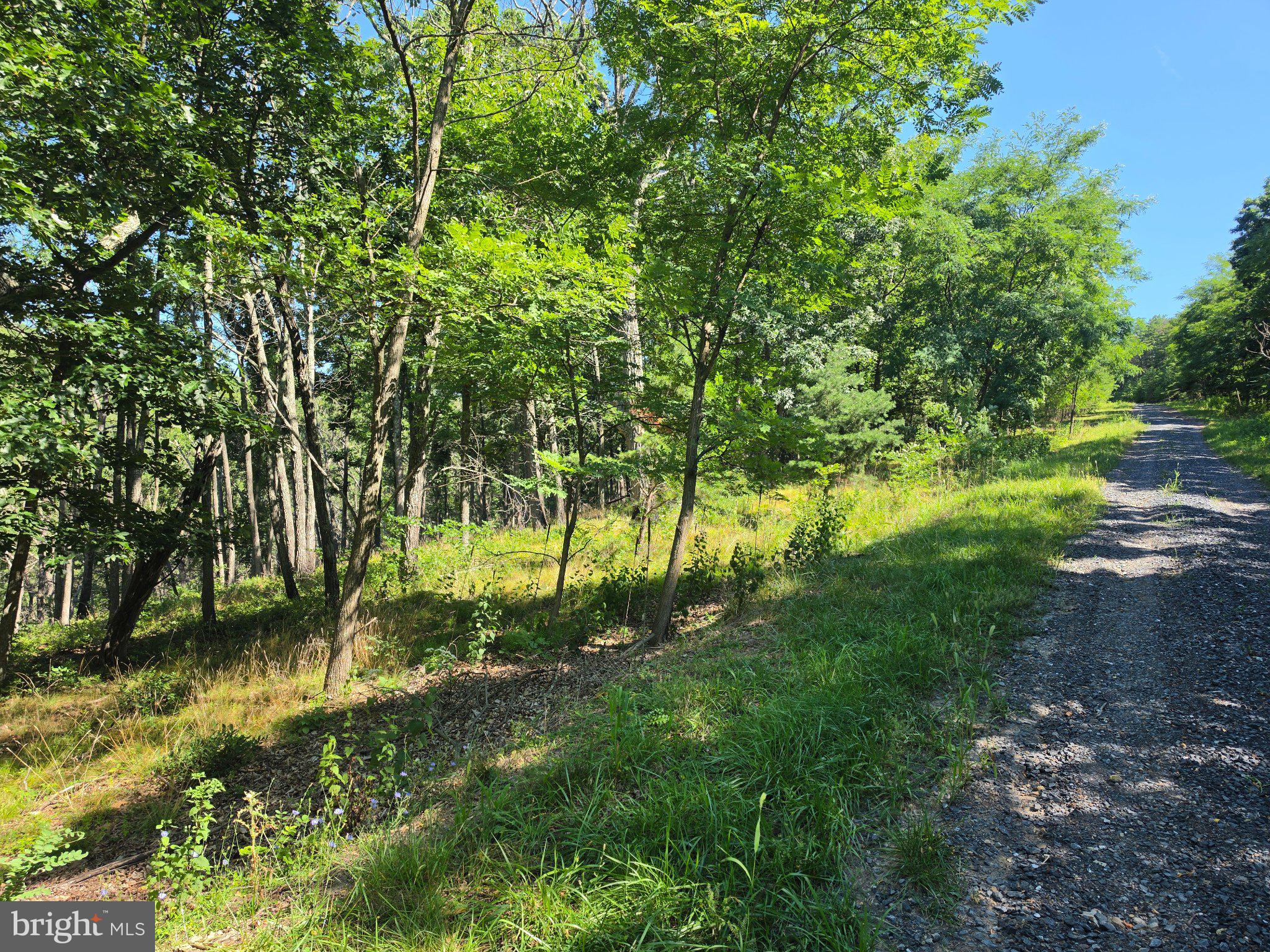 Lot 75 Hunters Rdg Trail Milam, WV 26838 - Photo 19 of 49 Gallery Image 19