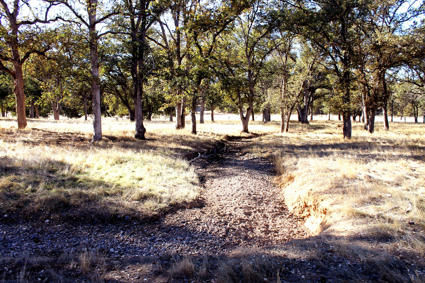 18750 Basler Road Cottonwood, CA 96022 - Photo 37 of 57 Winter Creek