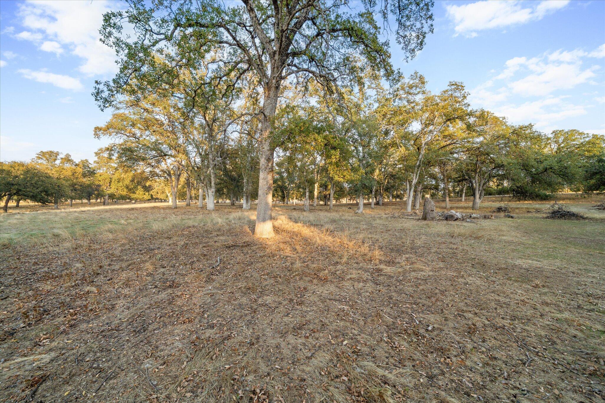 18750 Basler Road Cottonwood, CA 96022 - Photo 46 of 57 18750 Basler Rd