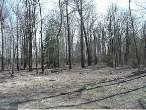 12340 Cardinal Road Delmar, DE 19940 - Photo 4 of 9
