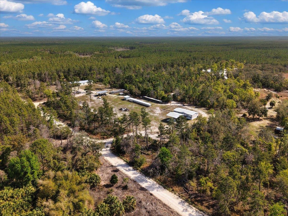 17600 Clearwater Creek Road Perry, FL 32348 - Photo 28 of 39