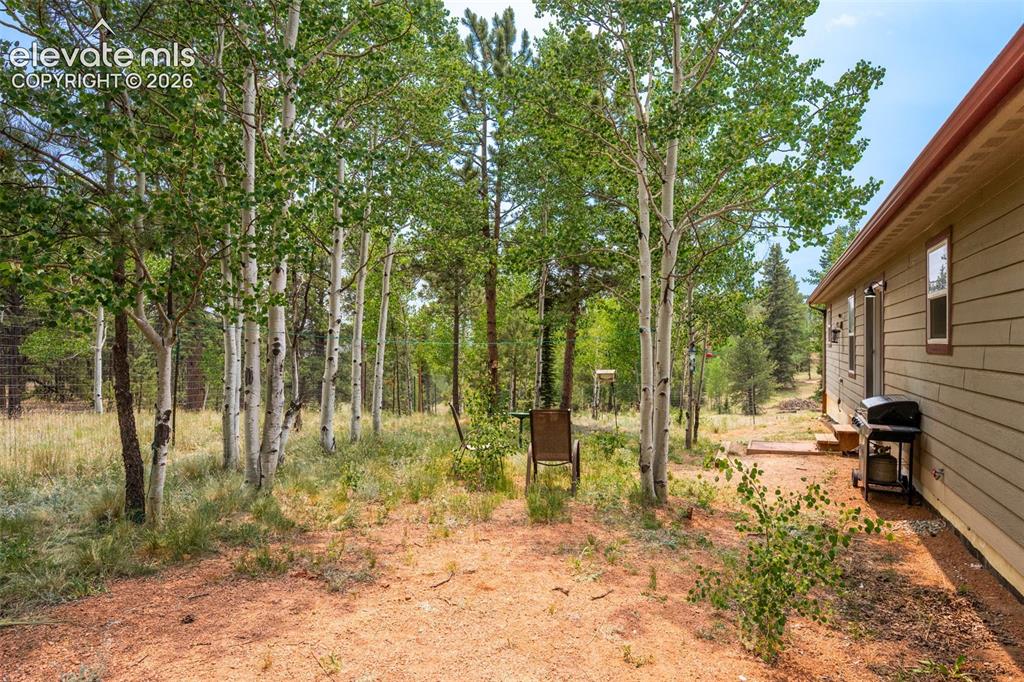 156 Fossil Creek Road Florissant, CO 80816 - Photo 38 of 47