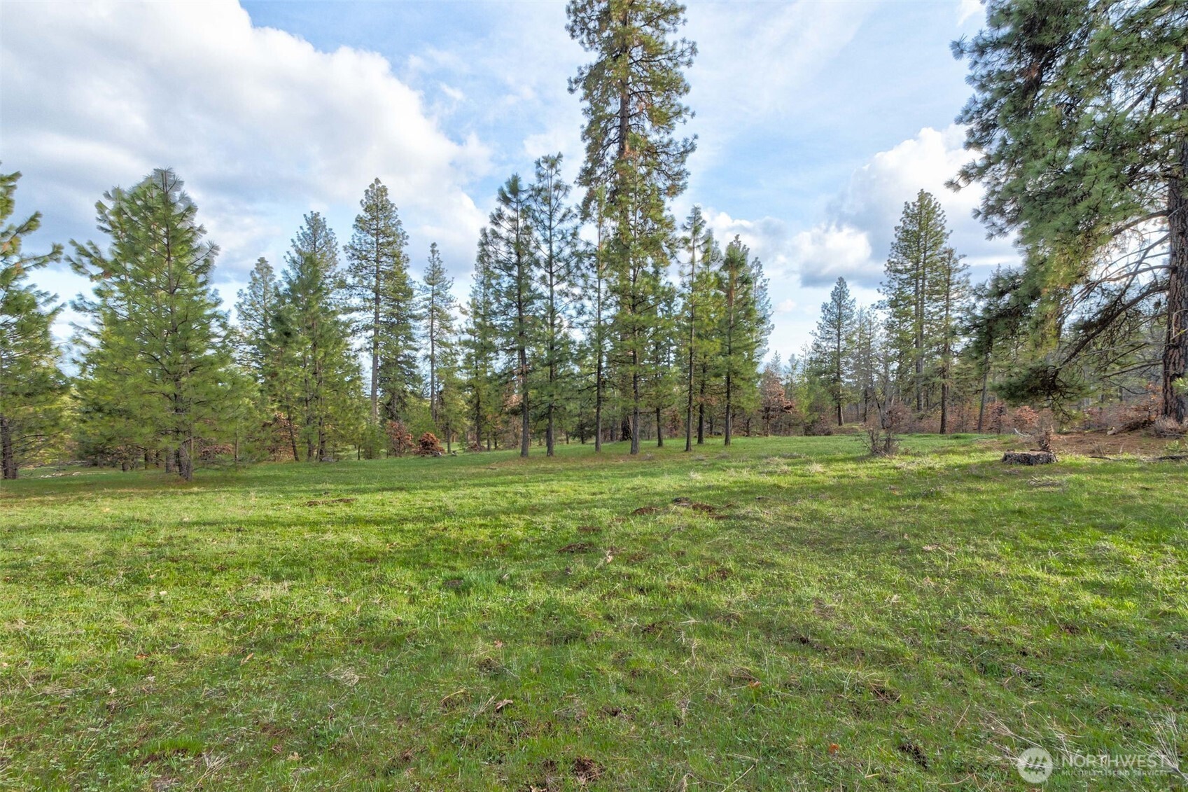 16 Grayback Road Goldendale, WA 98620 - Photo 6 of 25 Gallery Image 6